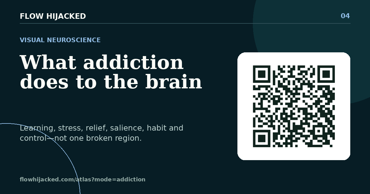 What addiction does to the brain